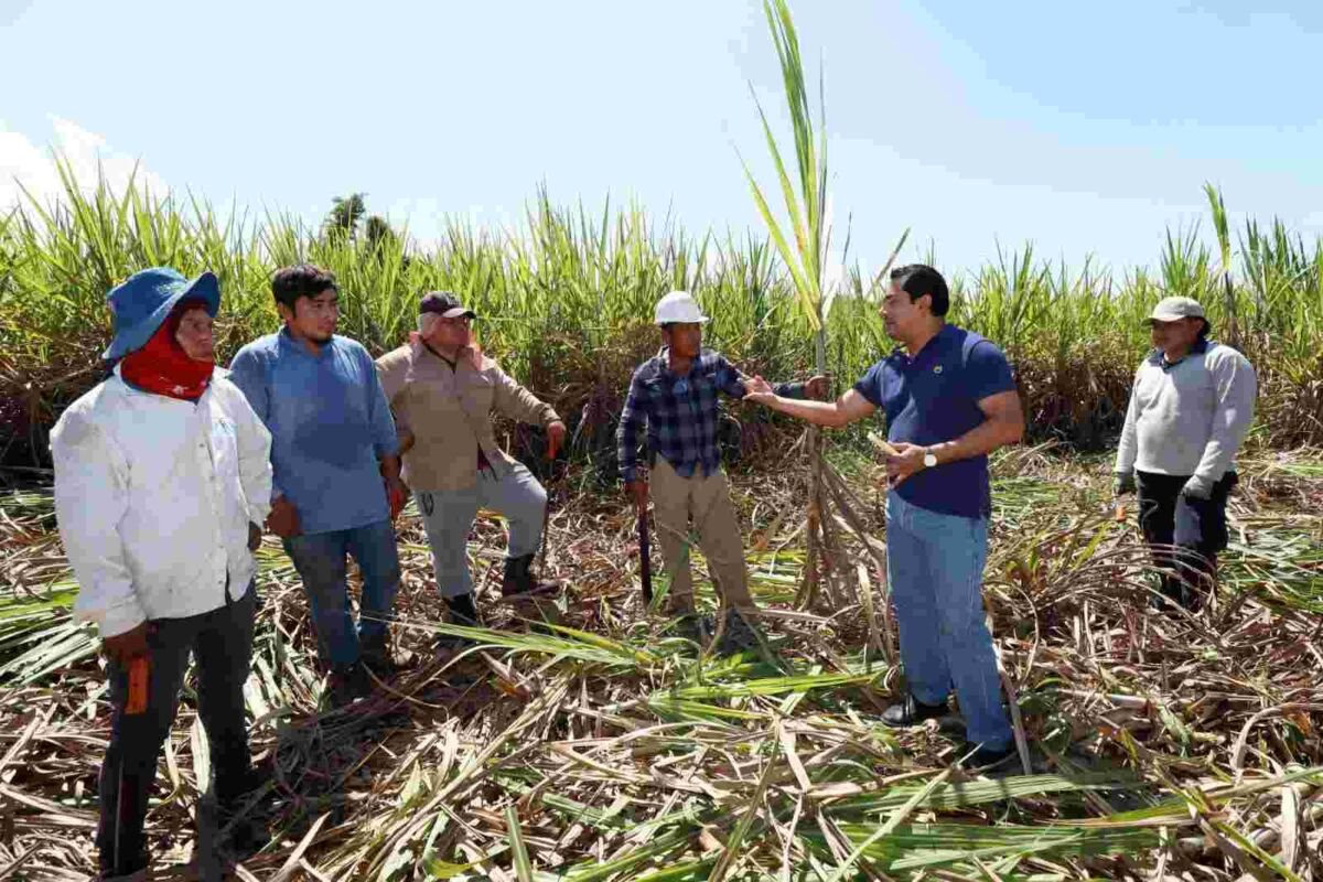 FAVORECE A CAMPESINOS PROGRAMA JUNTOS TRANSFORMANDO EL CAMPO