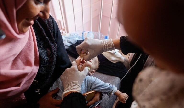 INICIA LA CAMPAÑA DE VACUNACIÓN CONTRA LA POLIO EN GAZA