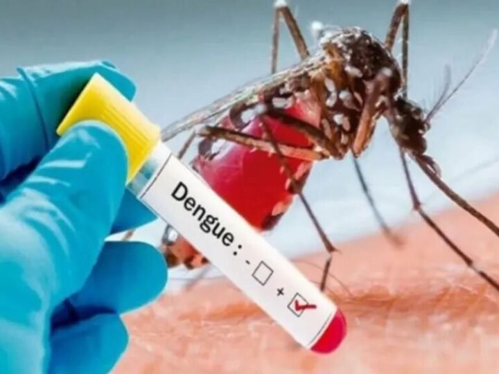 AUMENTA EL DENGUE, CONFIRMAN CASI 6 MIL CASOS