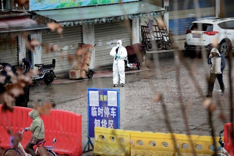 ANÁLISIS CORROBORA EL ORIGEN DEL COVID-19 EN MERCADO DE WUHAN