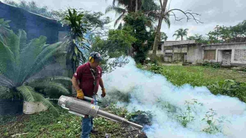 FUMIGAN ESCUELAS DE FORTÍN