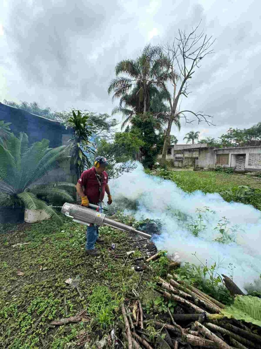 FUMIGAN ESCUELAS DE FORTÍN