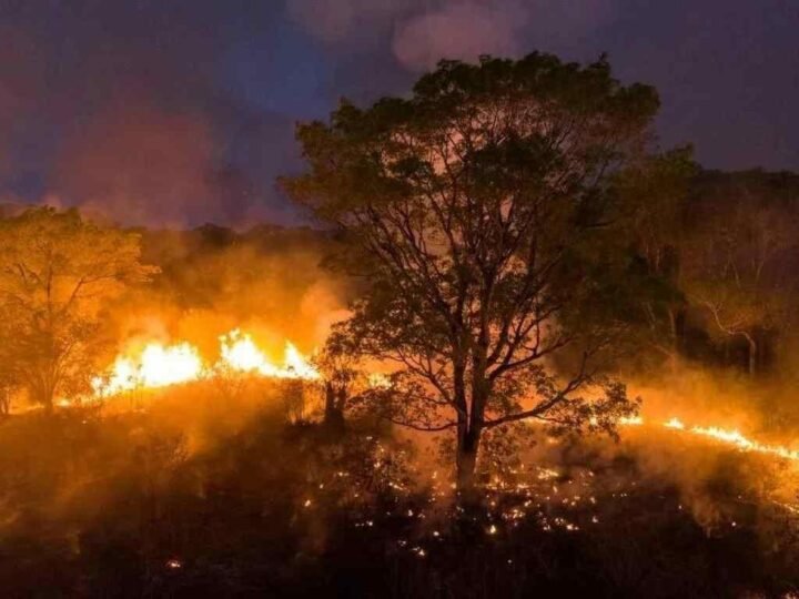 UNESCO LANZA GUÍA PARA PROTEGER EL PATRIMONIO CULTURAL ANTE LOS INCENDIOS