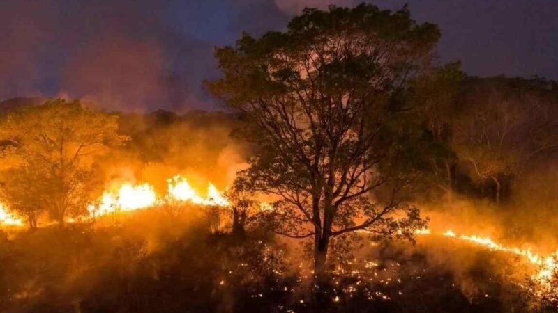 UNESCO LANZA GUÍA PARA PROTEGER EL PATRIMONIO CULTURAL ANTE LOS INCENDIOS