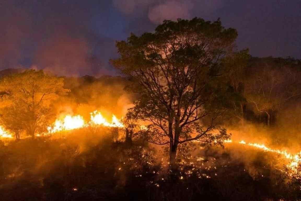 UNESCO LANZA GUÍA PARA PROTEGER EL PATRIMONIO CULTURAL ANTE LOS INCENDIOS