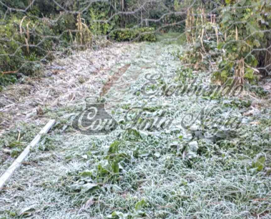 CAE HELADA EN FALDAS DEL PICO DE ORIZABA