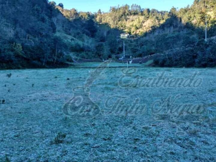 ANALIZAN RECORRER HORARIO DE CLASES EN MUNICIPIOS CON HELADAS