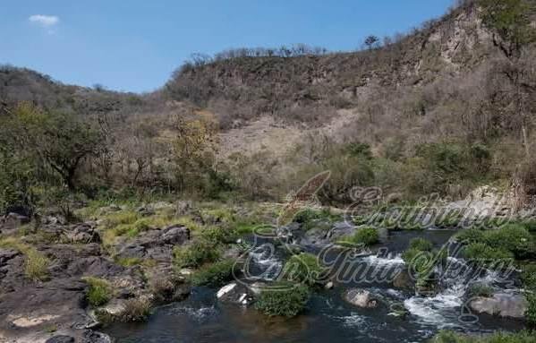 JOVEN MUERE AL CAER A BARRANCO