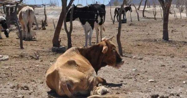 ABRIL Y MAYO, SERÁN LOS MESES MÁS COMPLICADOS POR ESTIAJE