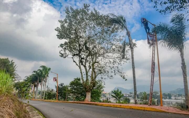 DAN MANTENIMIENTO A ALUMBRADO DE ANDADOR ERMITA-TOMATLÁN