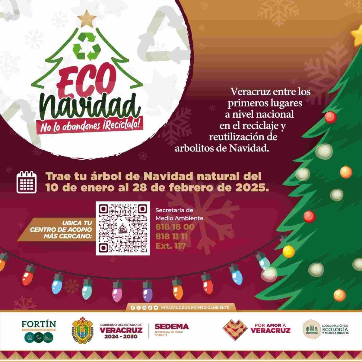 INSTALARÁN MÓDULO PARA RECICLAR PINOS DE NAVIDAD