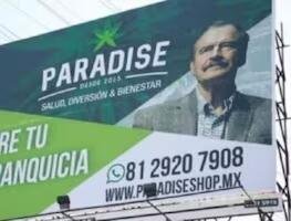 COFEPRIS ALERTA SOBRE VENTA ILEGAL DE PRODUCTOS DE LA MARCA PARADISE