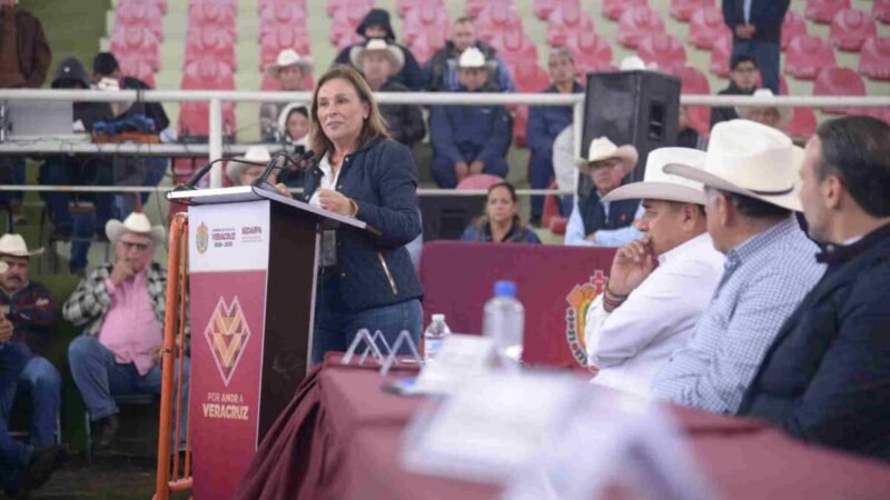 VERACRUZ RECUPERARÁ SU LIDERAZGO HISTÓRICO EN EL SECTOR GANADERO: ROCÍO NAHLE