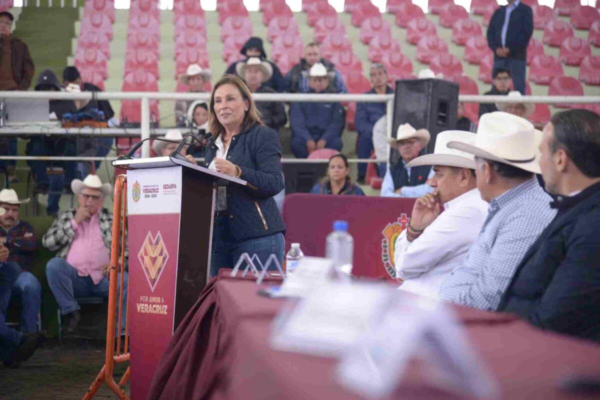 VERACRUZ RECUPERARÁ SU LIDERAZGO HISTÓRICO EN EL SECTOR GANADERO: ROCÍO NAHLE