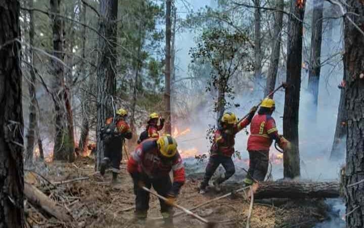 REFUERZAN ACCIONES CONTRA INCENDIOS FORESTALES