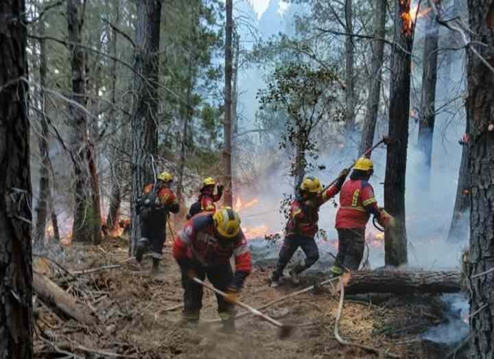 REFUERZAN ACCIONES CONTRA INCENDIOS FORESTALES