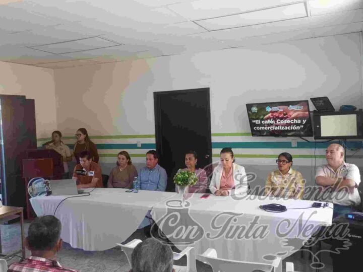 BUSCAN PROMOVER EL CRECIMIENTO DE LA CAFETICULTURA EN ZENTLA