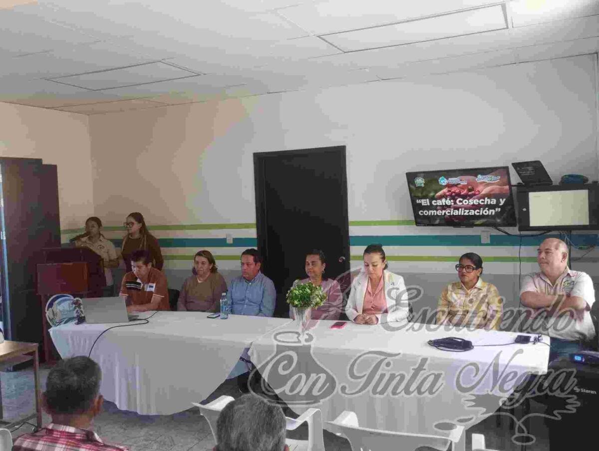 BUSCAN PROMOVER EL CRECIMIENTO DE LA CAFETICULTURA EN ZENTLA