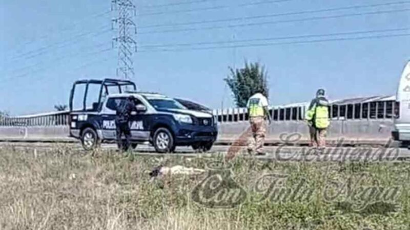 MUERE SENECTO TRAS SER ARROLLADO POR VEHÍCULO EN LA AUTOPISTA