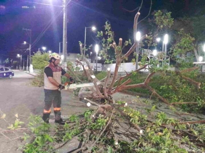 AUTORIDADES, EN ALERTA POR SURADA