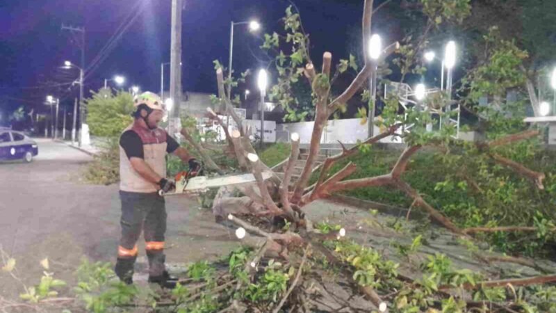 AUTORIDADES, EN ALERTA POR SURADA