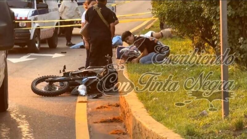 SE VAN DE ANTRO Y MUEREN AL ESTRELLARSE CONTRA ÁRBOL