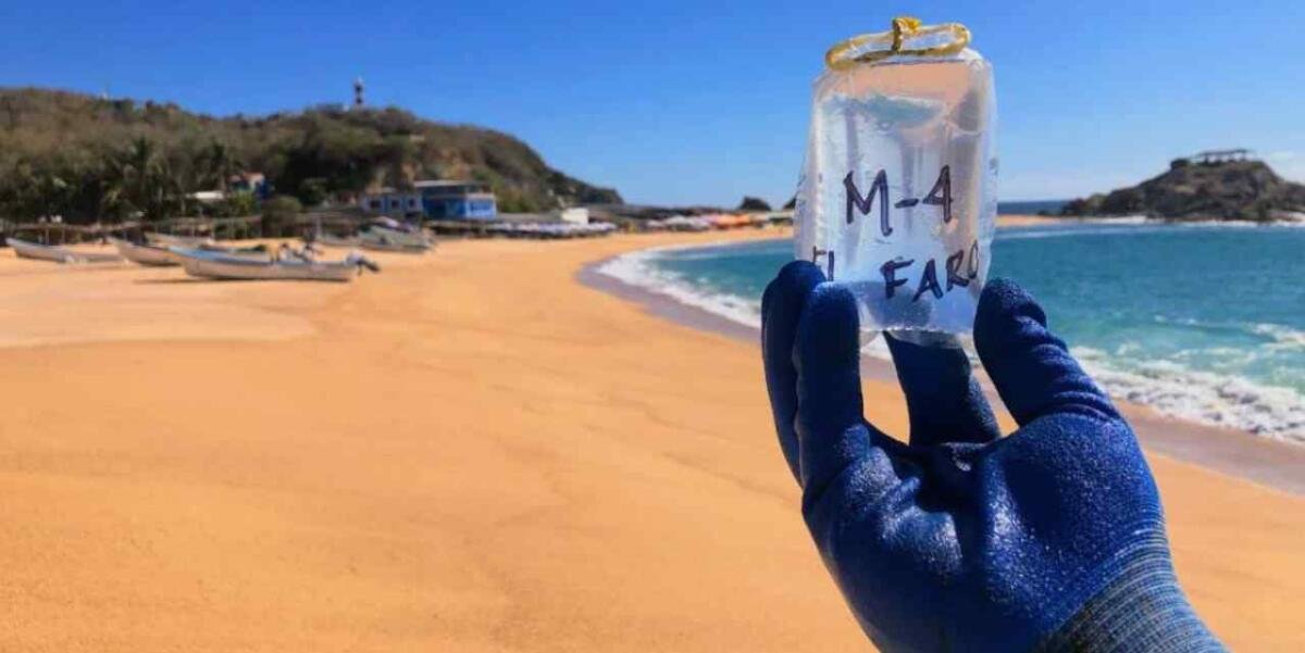 COFEPRIS REPORTA SEIS PLAYAS CONTAMINADAS PREVIO A VACACIONES