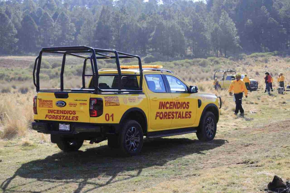 VERACRUZ, SIN INCENDIOS FORESTALES ACTIVOS