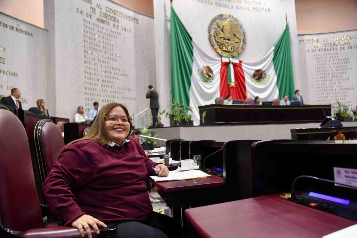 ASPIRANTES A CARGOS DE ELECCIÓN DEBERÁN CUMPLIR CON OBLIGACIONES ALIMENTARIAS