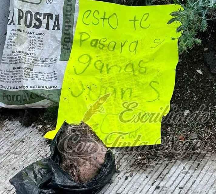 LE DEJAN NARCO MENSAJE Y CABEZA DE CERDO A CANDIDATO PANISTA