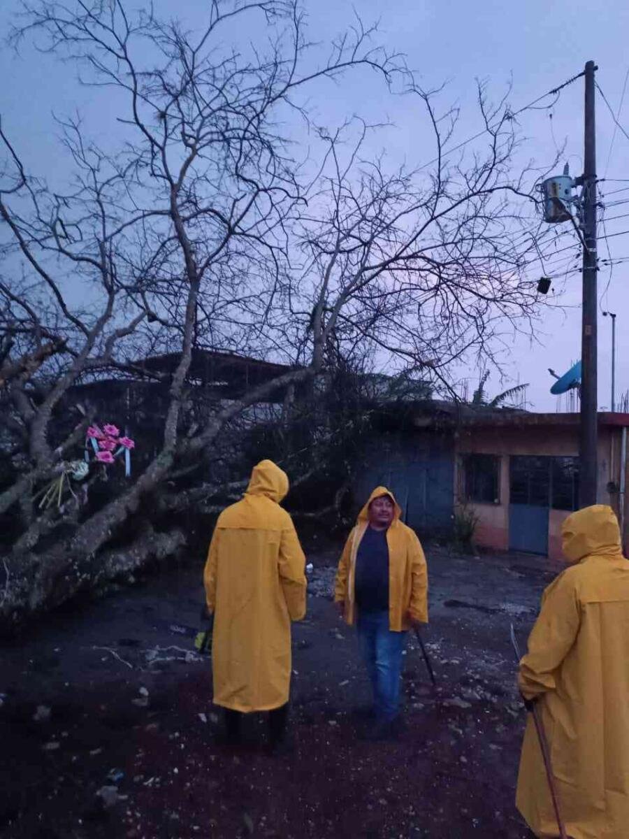 ATIENDEN INCIDENTES OCASIONADOS POR TORMENTA ELÉCTRICA EN FORTÍN