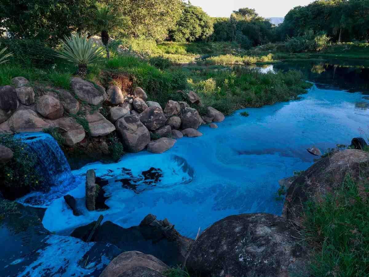 DERRAME DE COLORANTE TIÑE DE AZUL UN LAGO Y SU FAUNA A LAS AFUERAS DE SÃO PAULO