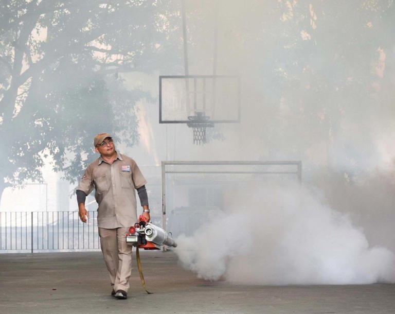 MÉXICO SUMA MÁS DE 3 MIL 500 CASOS DE DENGUE