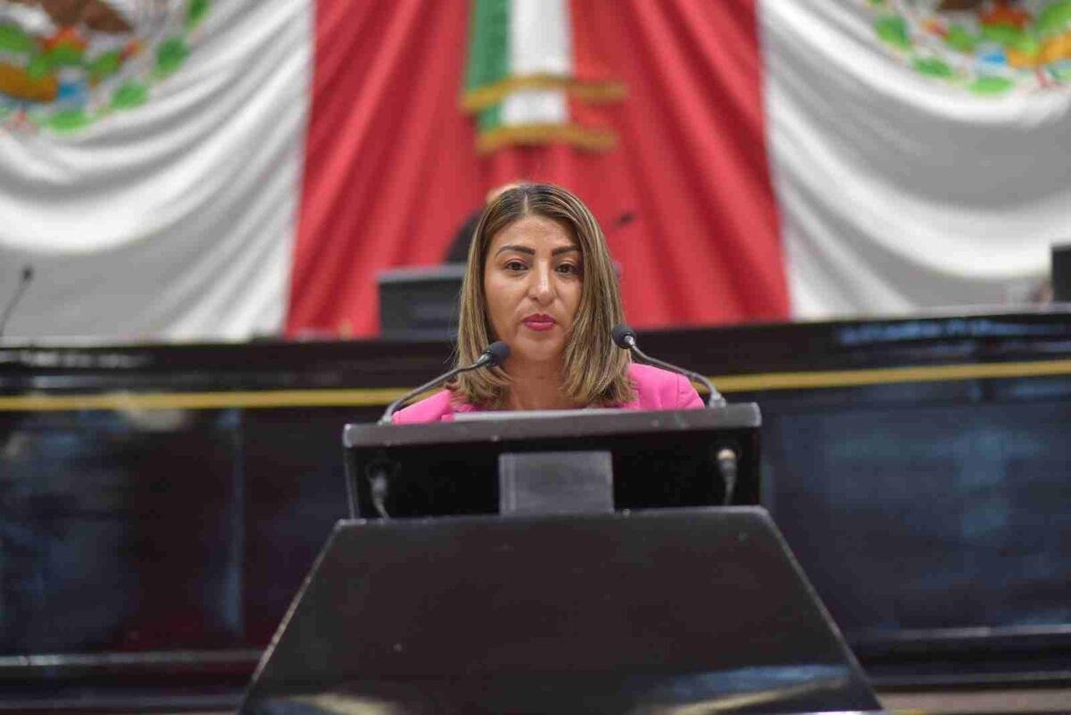 VERIFICAR IDONEIDAD DE PERFILES DE ASPIRANTES A JUECES Y MAGISTRADOS, PIDE DIPUTADA