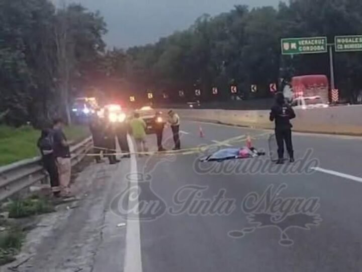 MUERE MOTOCICLISTAS EN LA AUTOPISTA: LO IMPACTÓ TRACTO CAMIÓN