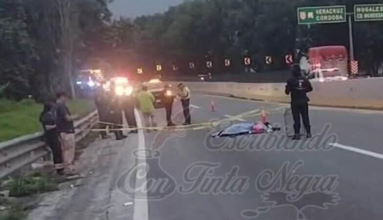 MUERE MOTOCICLISTAS EN LA AUTOPISTA: LO IMPACTÓ TRACTO CAMIÓN