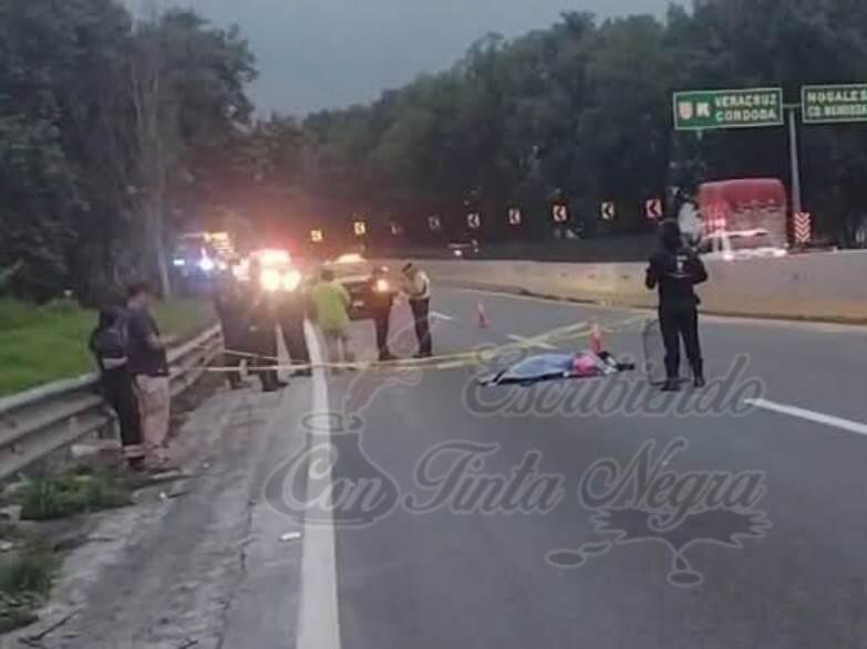 MUERE MOTOCICLISTAS EN LA AUTOPISTA: LO IMPACTÓ TRACTO CAMIÓN
