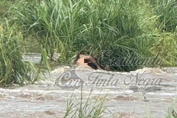 INTENTA CRUZAR EL RÍO Y SE AHOGA