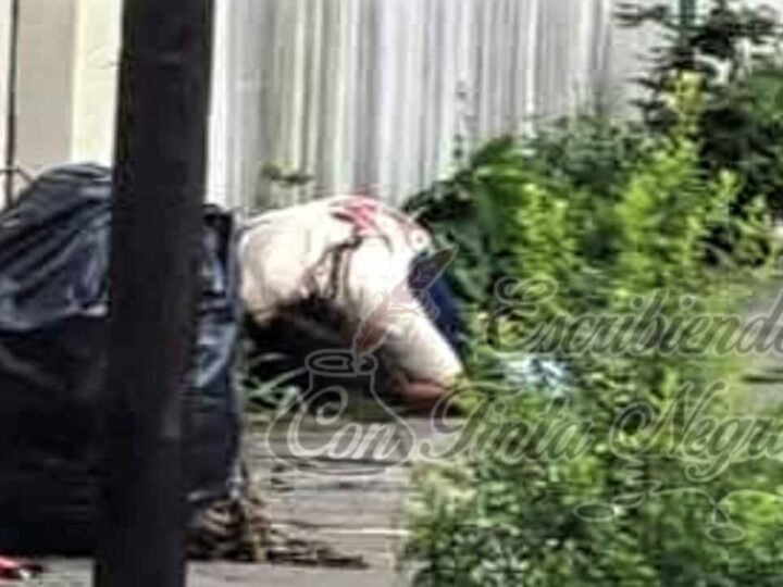 LA ASESINAN POR RESISTIRSE A ASALTO