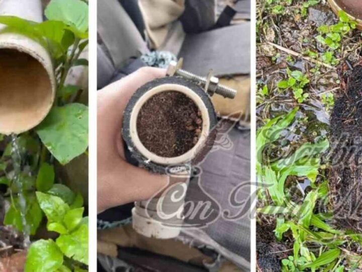 CONTINÚAN ACCIONES DE MANTENIMIENTO DE REDES DE AGUA EN ZENTLA