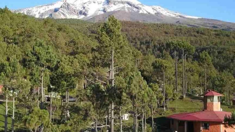 SEMBRARÁN 35 MIL ÁRBOLES EN PICO DE ORIZABA