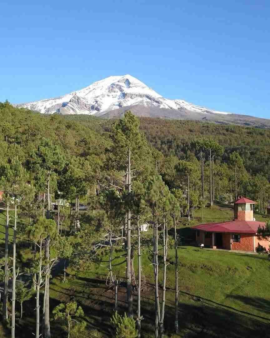 SEMBRARÁN 35 MIL ÁRBOLES EN PICO DE ORIZABA