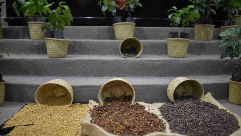 CREAN COMISIÓN ESPECIAL DEL CAFÉ