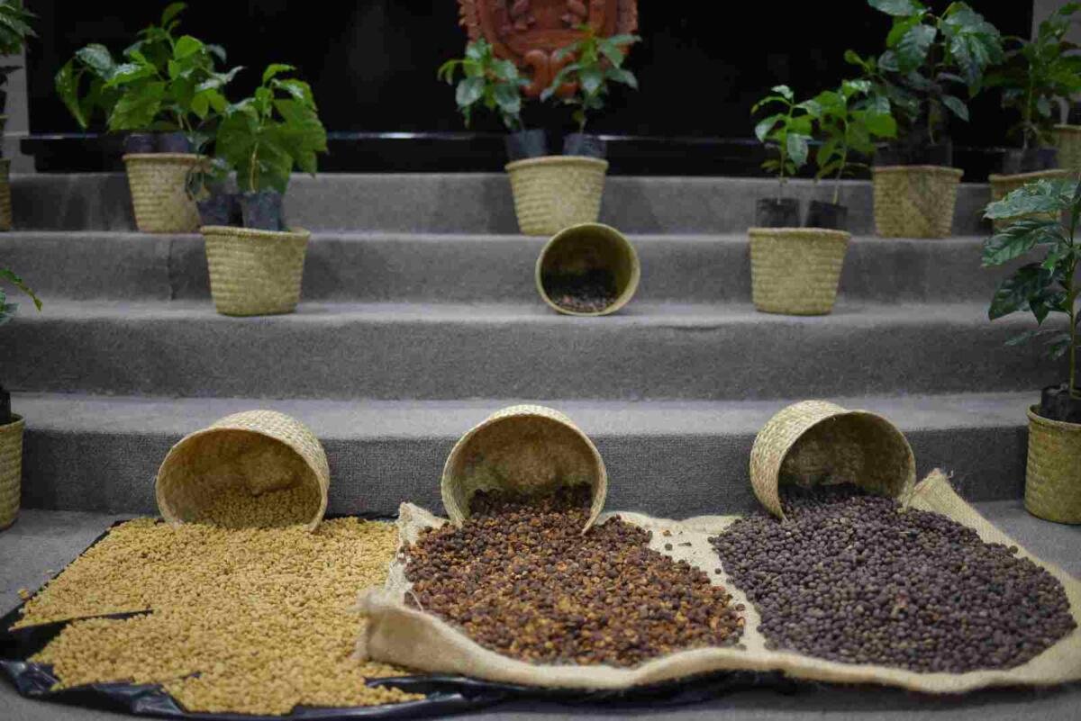 CREAN COMISIÓN ESPECIAL DEL CAFÉ