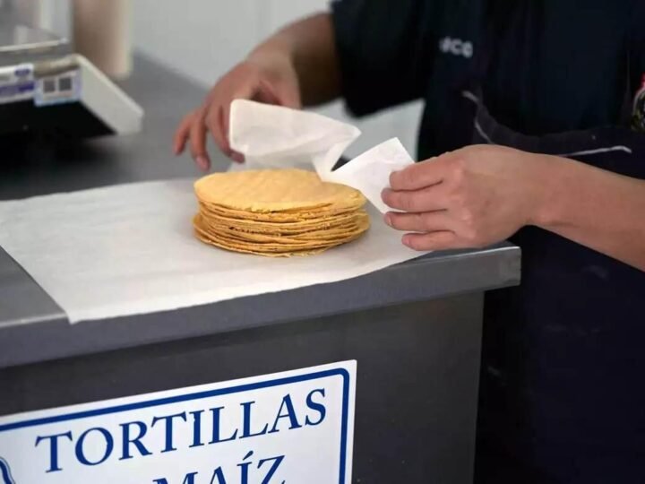 SHEINBAUM Y PRODUCTORES DE MAÍZ ACUERDAN ESTABILIZAR PRECIO DE TORTILLA