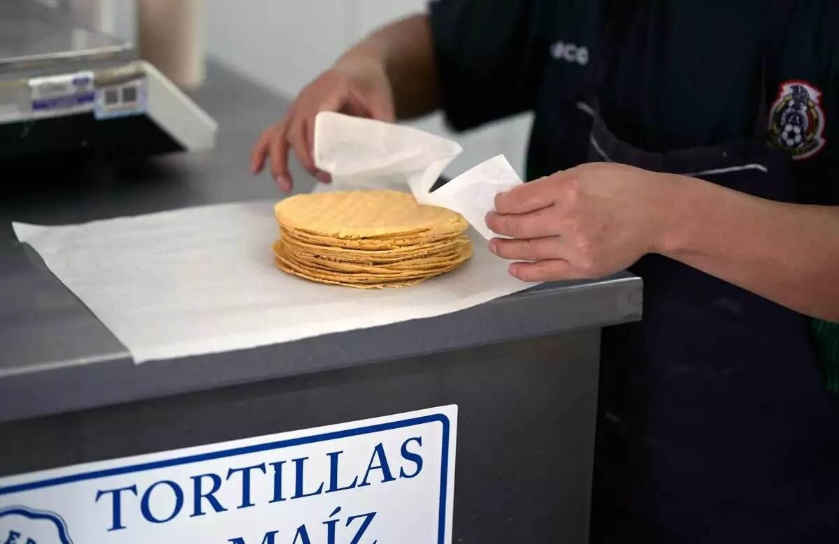 SHEINBAUM Y PRODUCTORES DE MAÍZ ACUERDAN ESTABILIZAR PRECIO DE TORTILLA