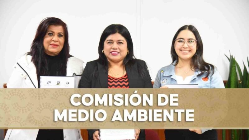 ABIERTA, CONVOCATORIA PARA OTORGAR EL PREMIO AL MÉRITO AMBIENTAL 2025