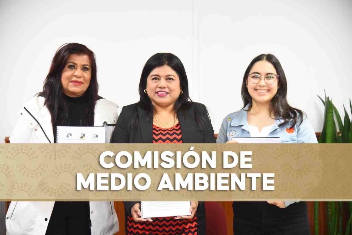 ABIERTA, CONVOCATORIA PARA OTORGAR EL PREMIO AL MÉRITO AMBIENTAL 2025