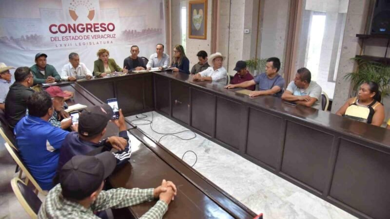 DARÁ DIPUTADA MIRIAM GARCÍA ATENCIÓN A SOLICITUDES DE CIUDADANOS DE COYUTLA