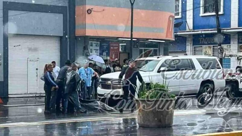 CAMIONETA ATROPELLA A EMPLEADA DE PARQUES Y JARDÍNES; MURIÓ EN EL HOSPITAL